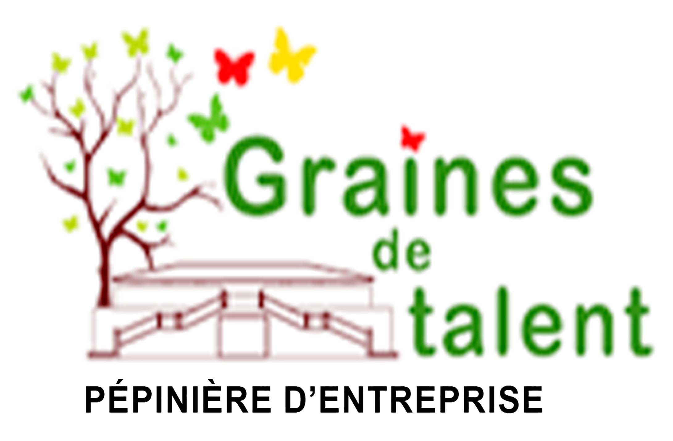 La Pépinière d'entreprises Graines de Talent (GDT)